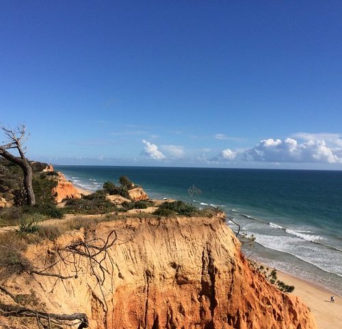 algarves portugues